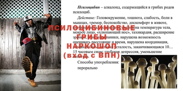 гидра Баксан